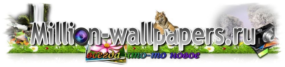HD wallpapers for laptops and smartphones with million-wallpapers.ru