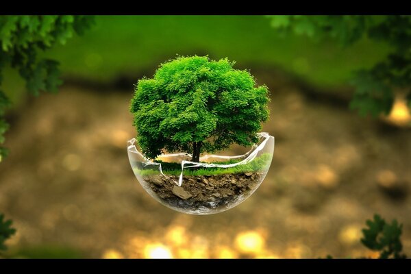 Creative HD desktop wallpapers