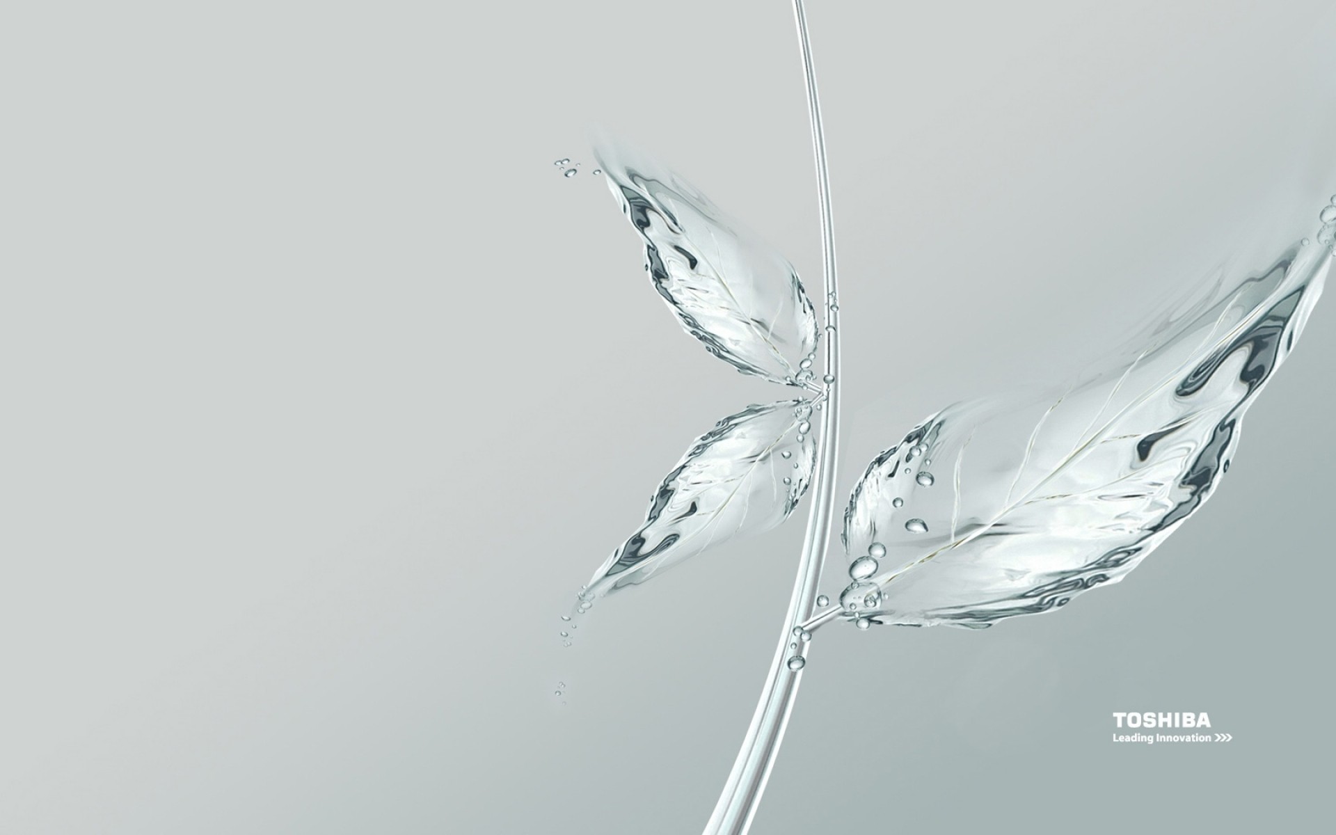 toshiba motion drop purity nature water wet wave bubble