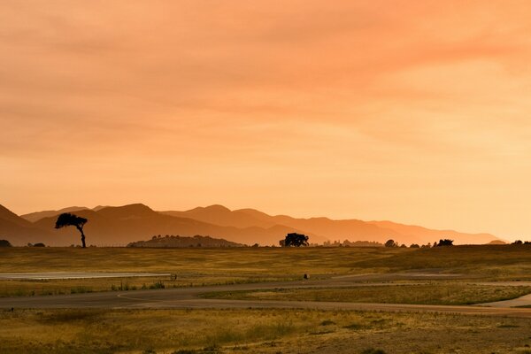 Desert at sunset landscape