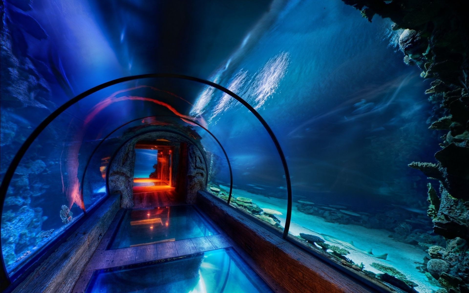 tunnel light blur travel transportation system motion evening tube