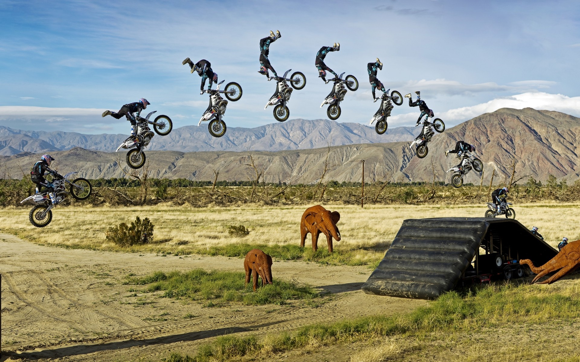 sports grass nature landscape outdoors sky summer travel field rural countryside jungle elephant toys statues motorcycle