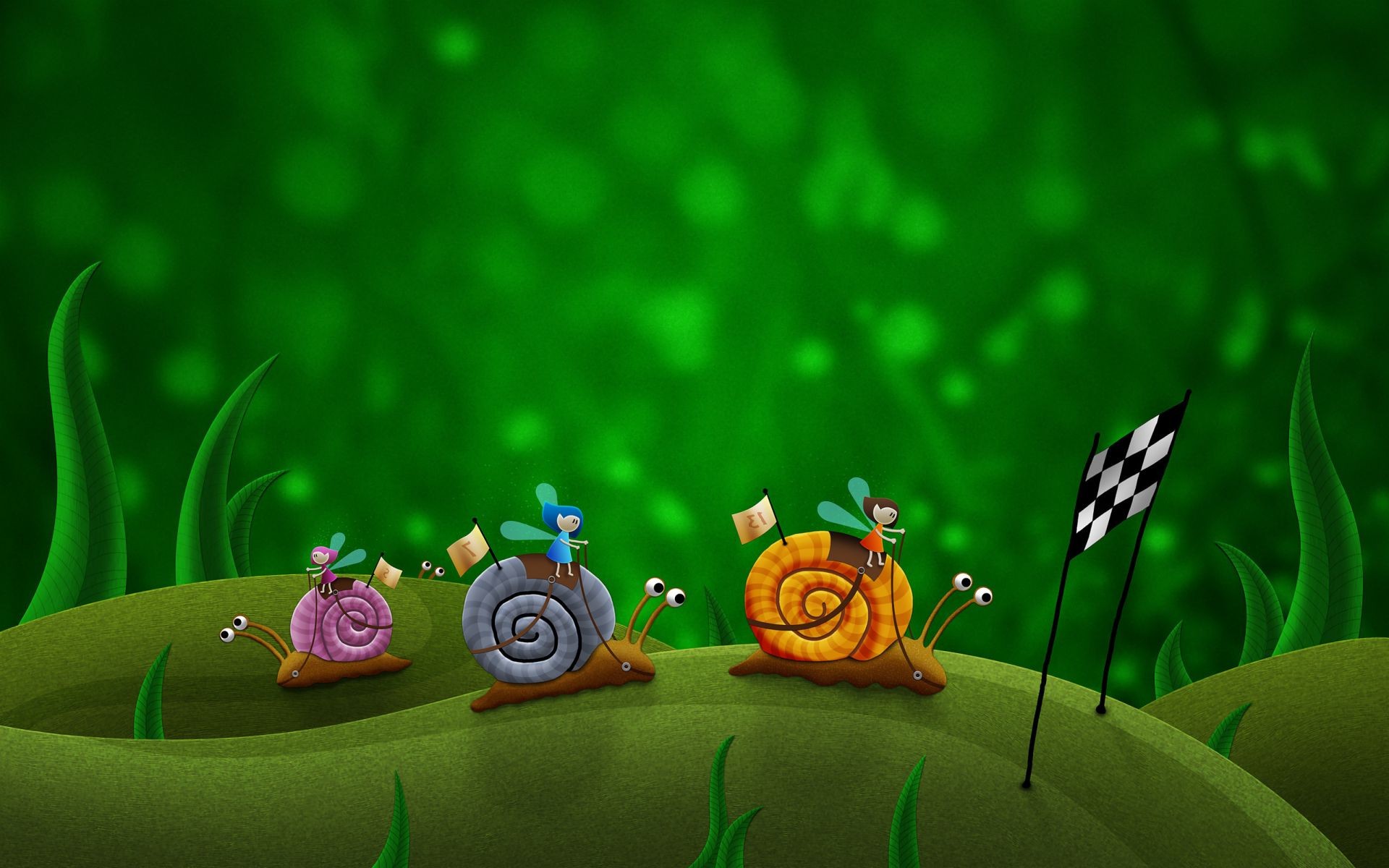 desktop color flower nature grass leaf