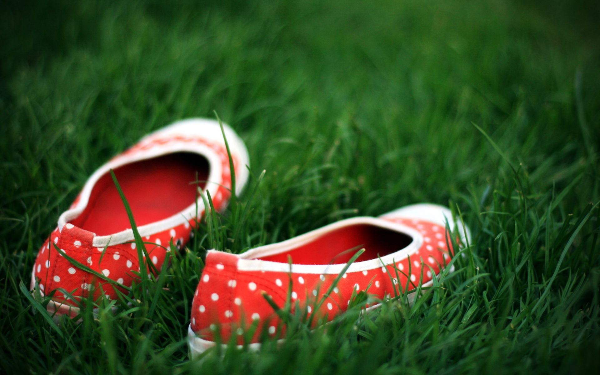 grass summer field leather color lawn leisure shoe outdoors two hayfield couple nature close-up