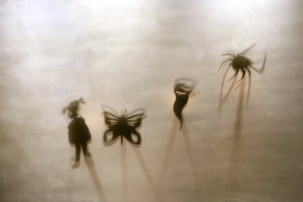 Insect shadows on a gray-brown background