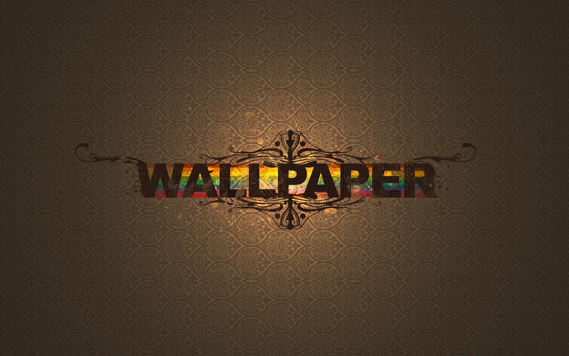 vector art art illustration insect