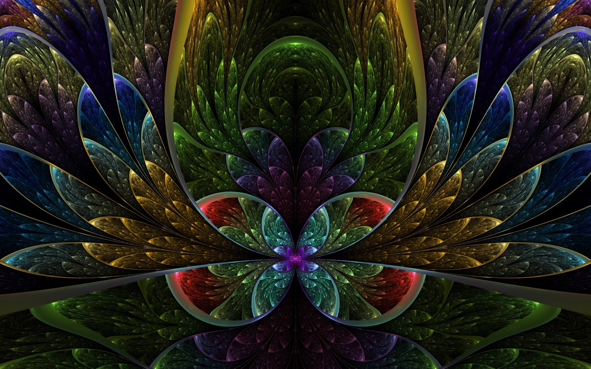 abstract flower color decoration nature flora art garden leaf pattern