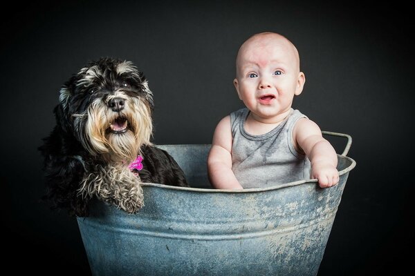 Friends do not spill water, baby and dog