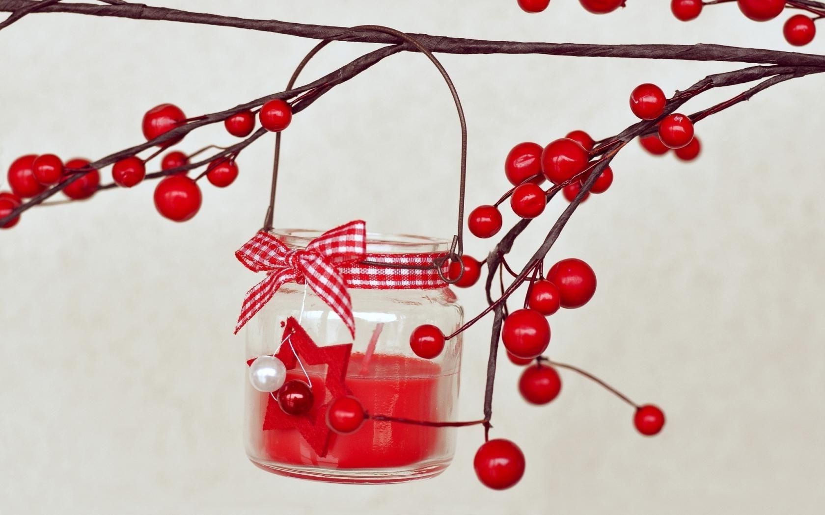 winter berry christmas shining decoration desktop