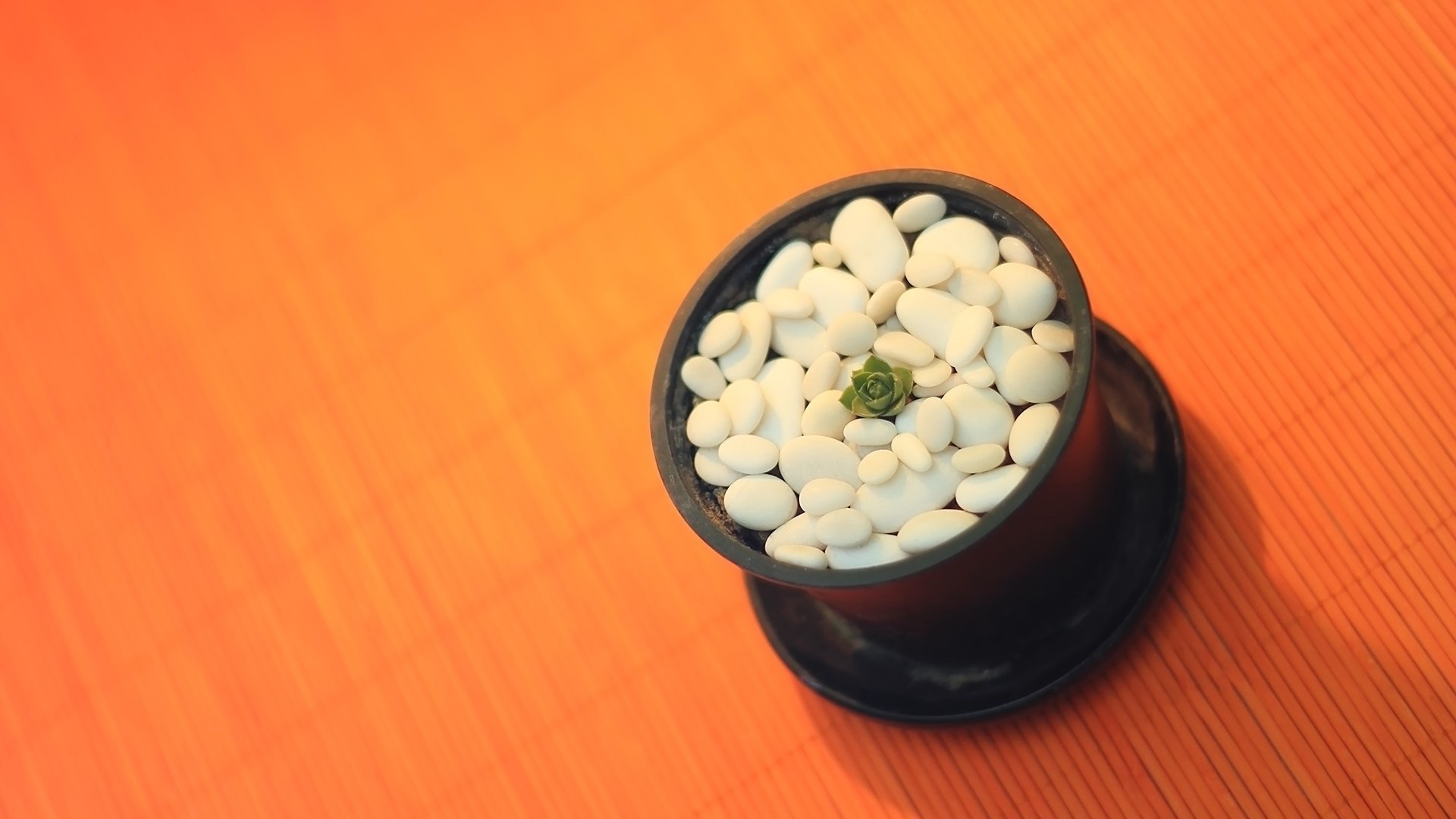 food medicine desktop health bowl wood still life healthy