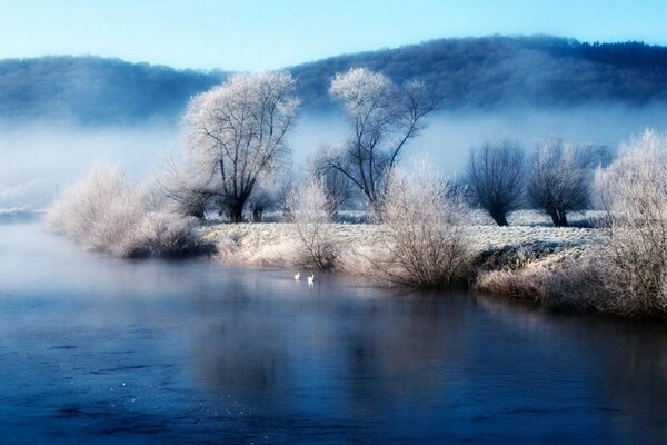 Winter landscape: ponds, streams and trees