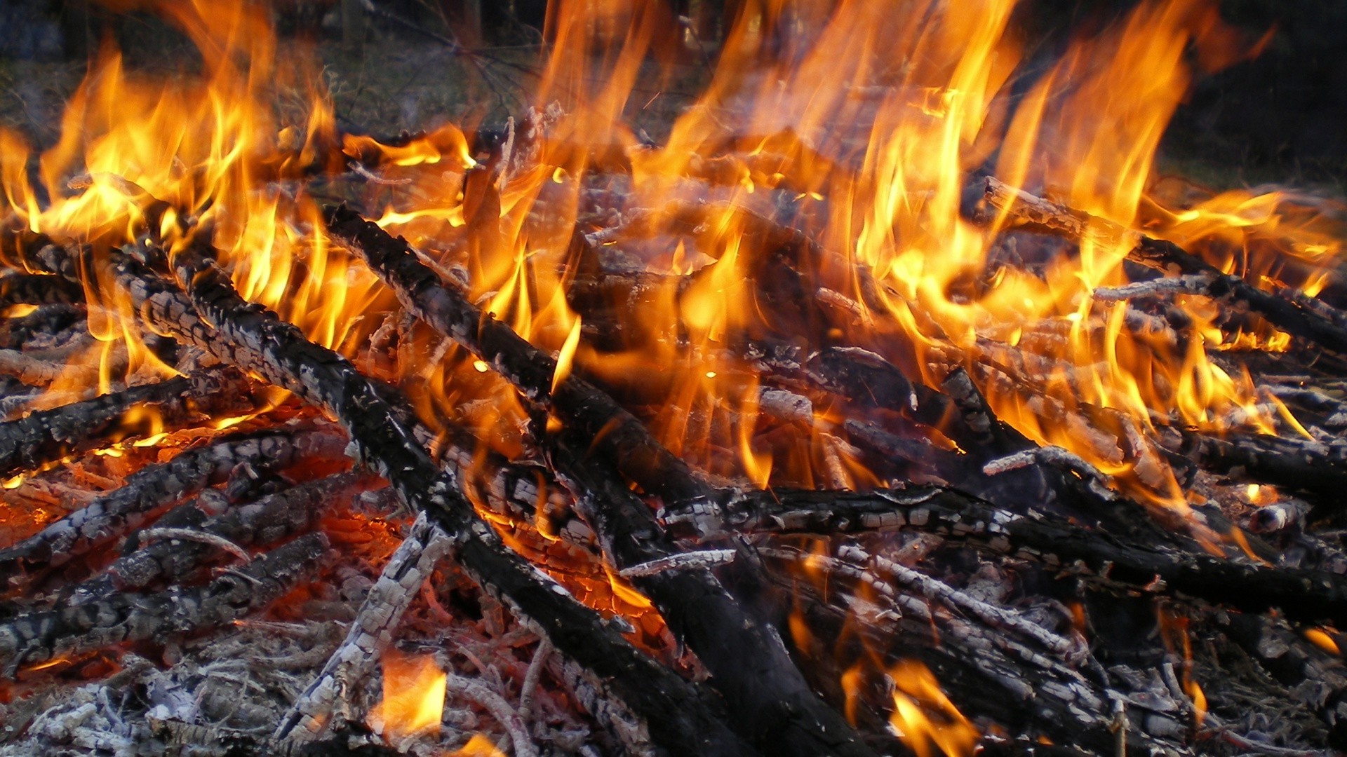 flame campfire bonfire heat coal fireplace burn charcoal firewood ash hot inferno warmly smoke blaze flammable ignite wildfire temperature camp