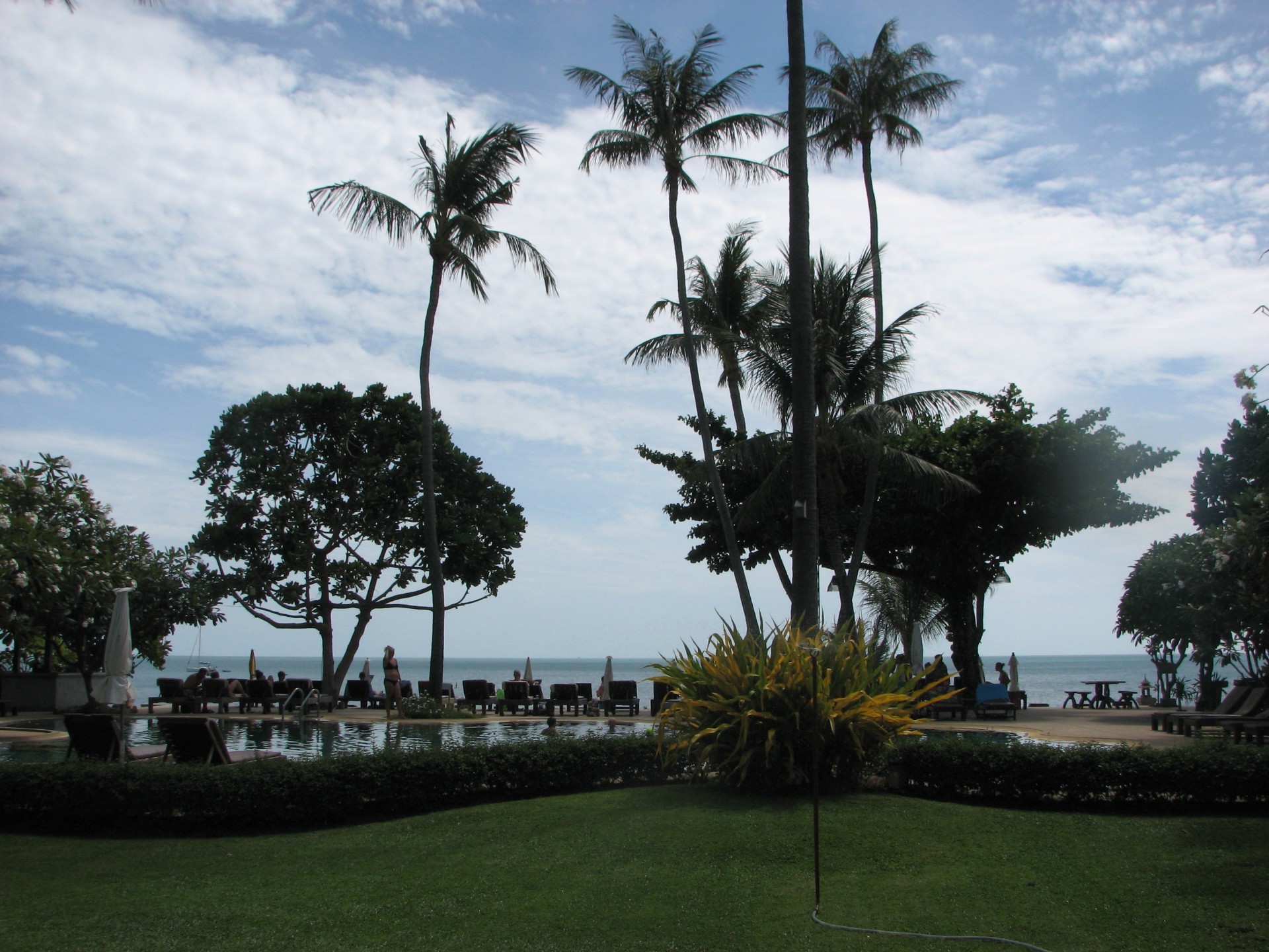 tree palm resort leisure travel tropical recreation hotel vacation water daylight island beach tourism seashore outdoors sky luxury park