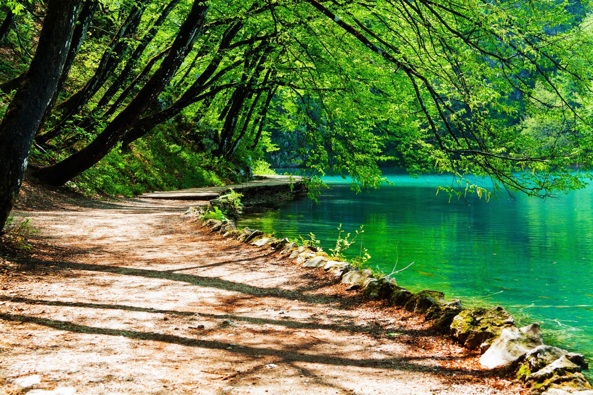 wood nature water tree landscape leaf summer outdoors scenic fair weather park season travel scenery composure sun lush scene