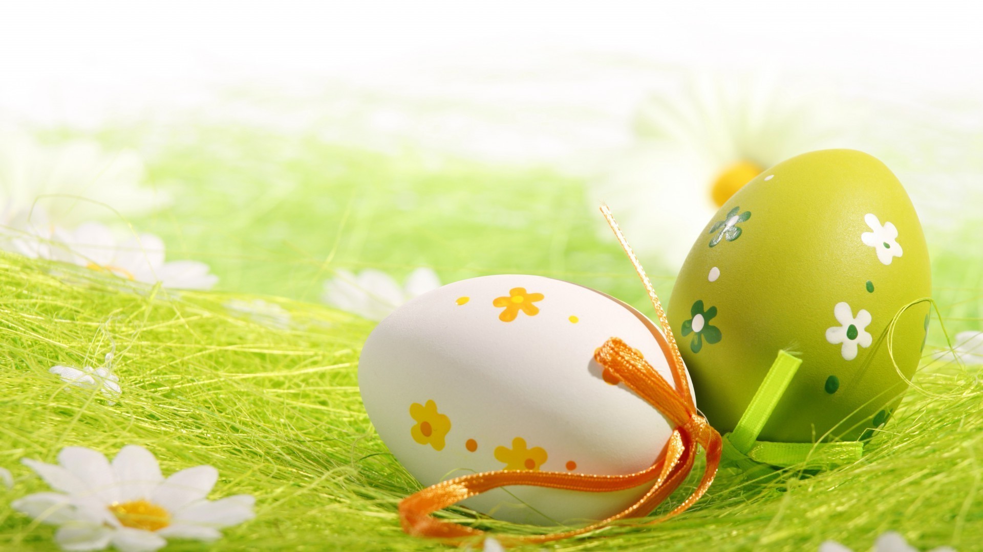 easter egg nature grass flower desktop bright celebration easter egg food season decoration