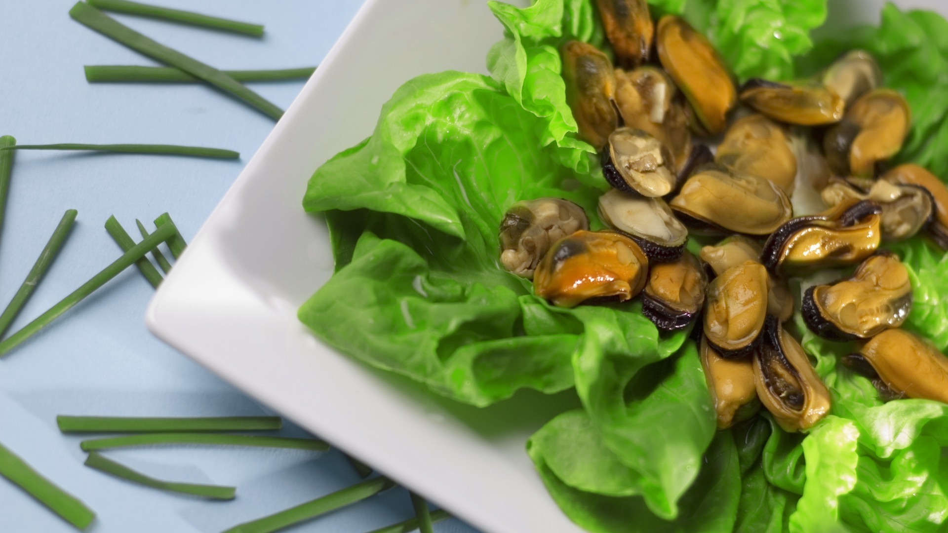 food healthy vegetable meal cuisine leaf cooking health diet salad nutrition dinner close-up dish lunch tasty epicure desktop delicious