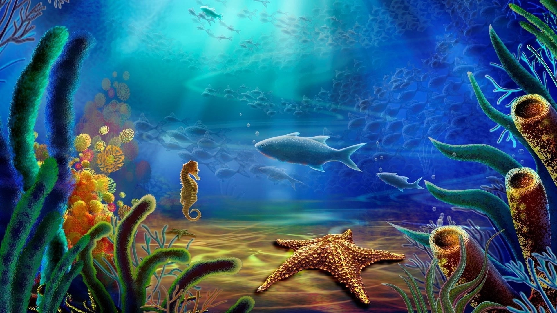 underwater fish coral reef ocean water sea aquarium marine swimming diving invertebrate tropical