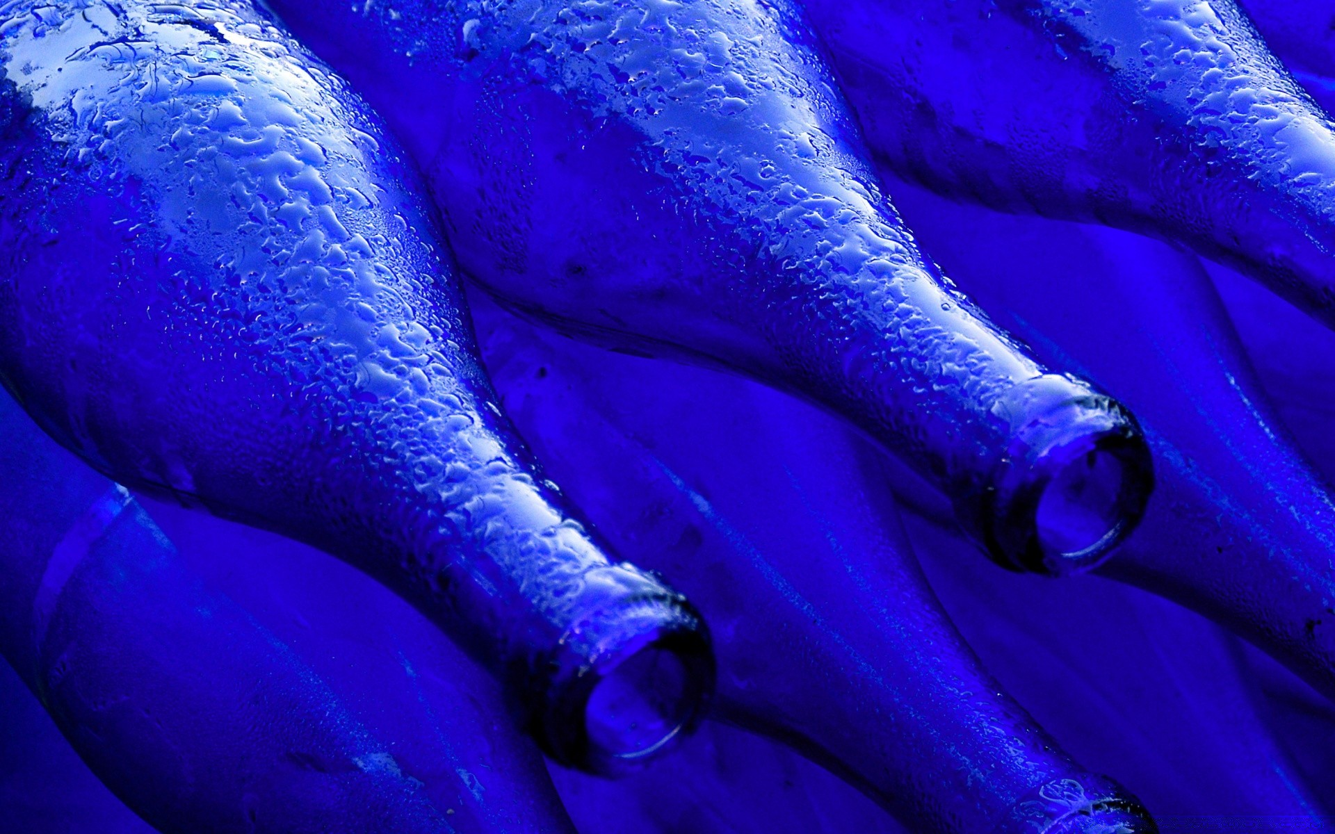 macro color desktop abstract art underwater