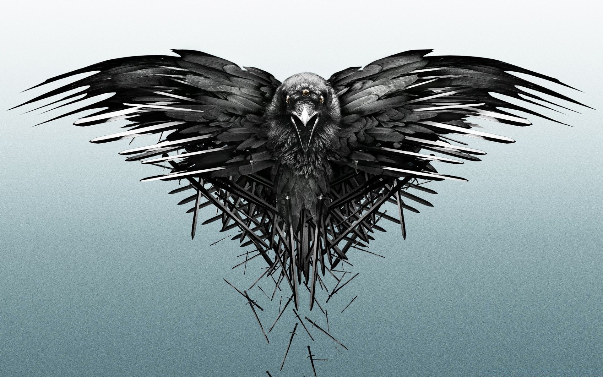 movies bird raptor eagle wildlife feather nature flight fly wing hawk
