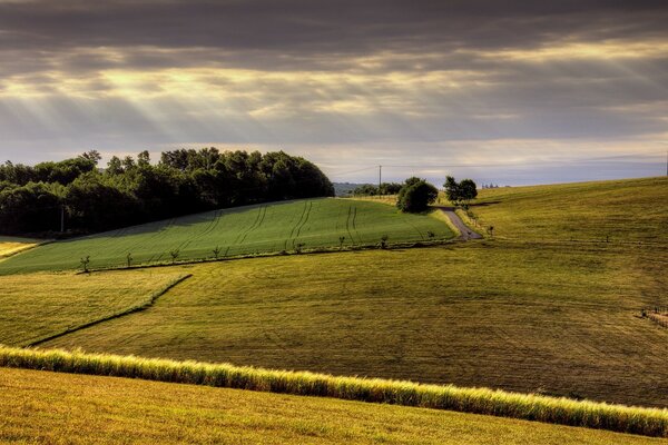 Agricultural fields and farmlands