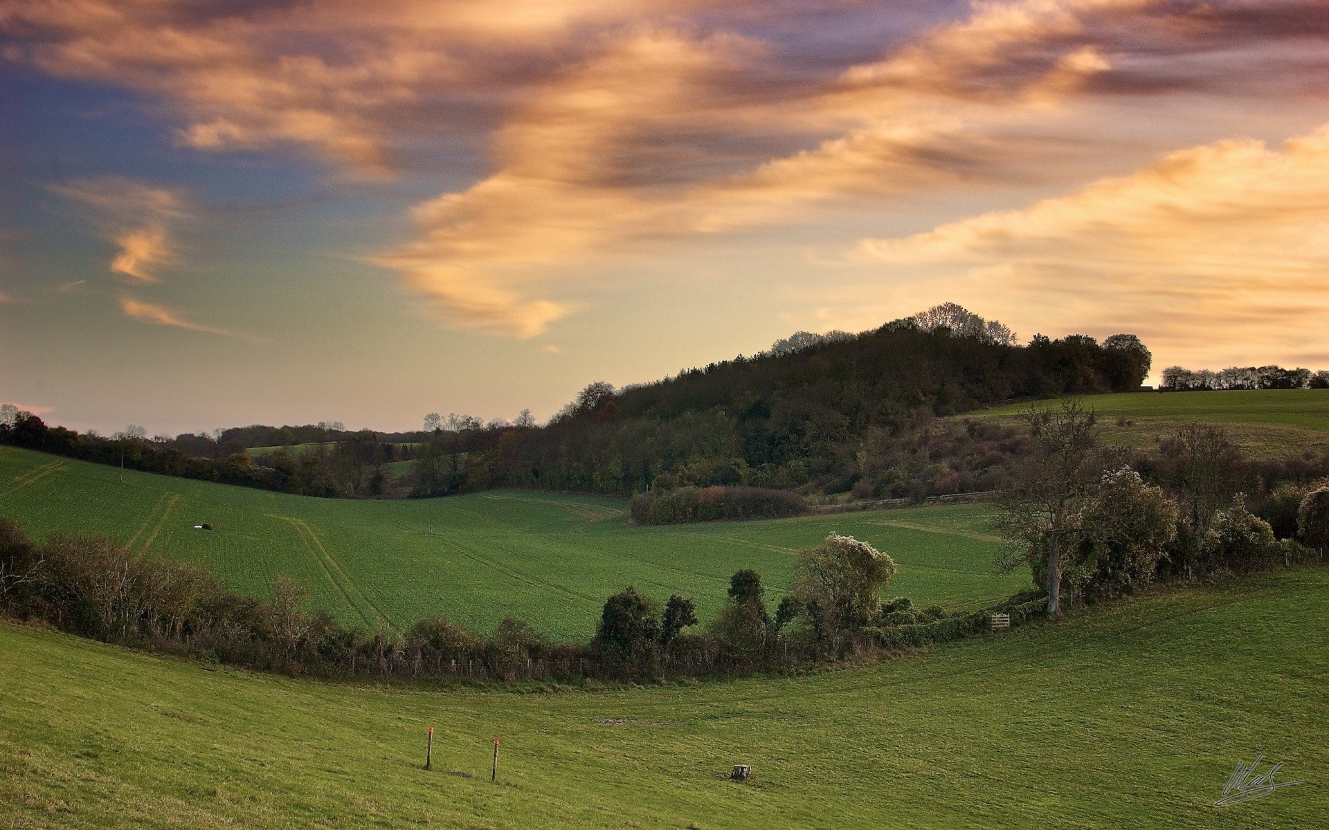 landscapes landscape agriculture grass countryside outdoors pastoral nature tree sky cropland rural sheep grassland farm hill sunset pasture travel hayfield