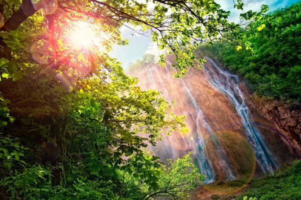 Mountain streams scorched by the sun