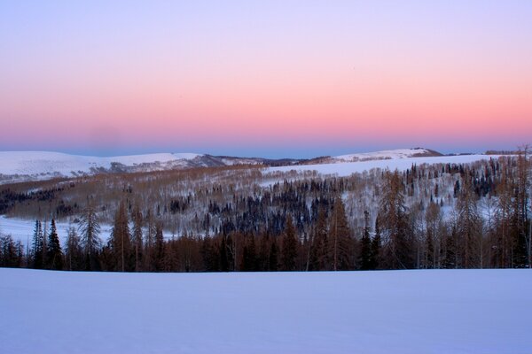 The beauty and tenderness of the winter dawn